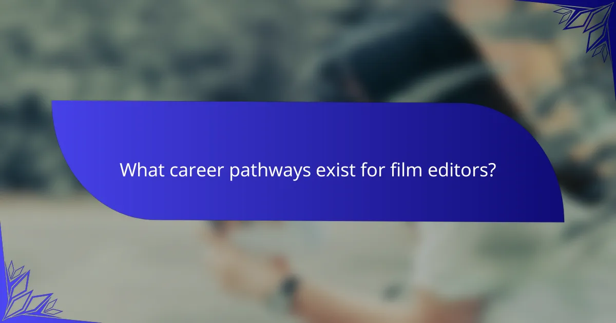 What career pathways exist for film editors?